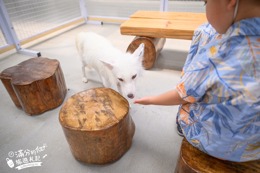 宜蘭【遛遛三星】全台唯一白狐狸主題農場,與白狐狸＆赤狐互動.還能玩鹿角蕨手作.當小小農夫和爬蟲偵查員,太好玩啦!