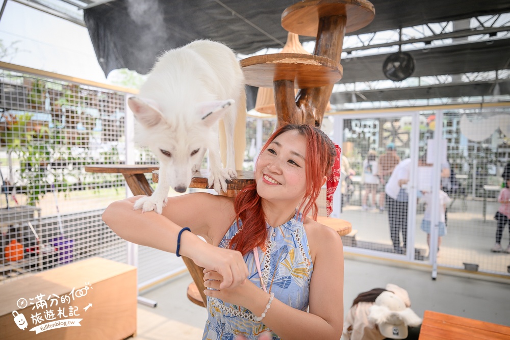 宜蘭【遛遛三星】全台唯一白狐狸主題農場,與白狐狸＆赤狐互動.還能玩鹿角蕨手作.當小小農夫和爬蟲偵查員,太好玩啦!