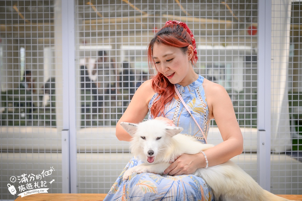 宜蘭【遛遛三星】全台唯一白狐狸主題農場,與白狐狸＆赤狐互動.還能玩鹿角蕨手作.當小小農夫和爬蟲偵查員,太好玩啦!