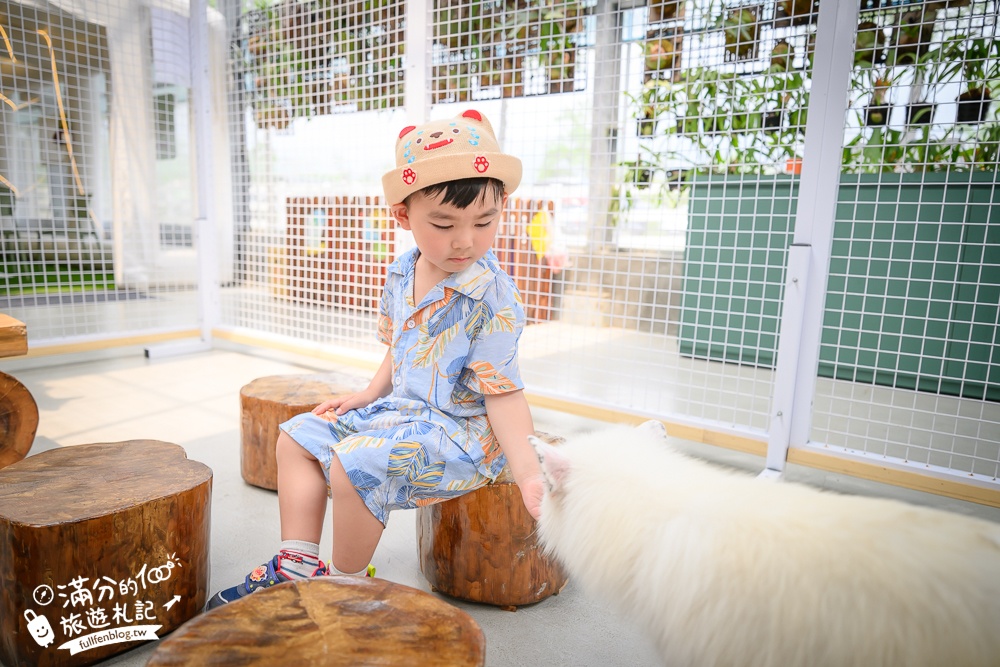 宜蘭【遛遛三星】全台唯一白狐狸主題農場,與白狐狸＆赤狐互動.還能玩鹿角蕨手作.當小小農夫和爬蟲偵查員,太好玩啦!