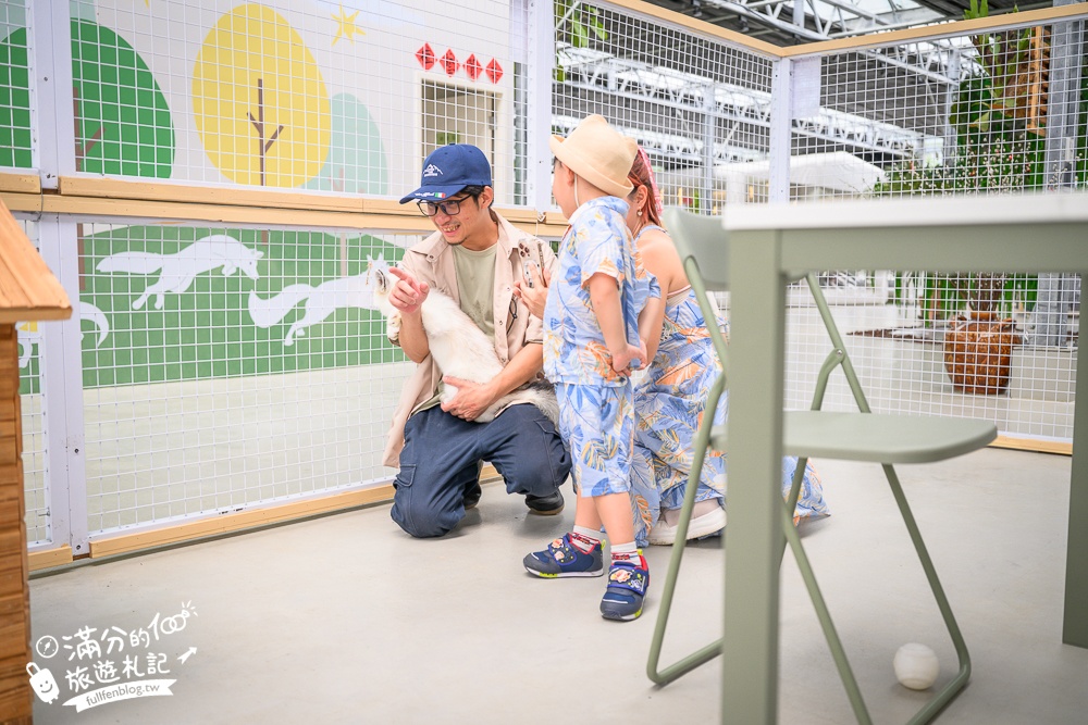 宜蘭【遛遛三星】全台唯一白狐狸主題農場,與白狐狸＆赤狐互動.還能玩鹿角蕨手作.當小小農夫和爬蟲偵查員,太好玩啦!