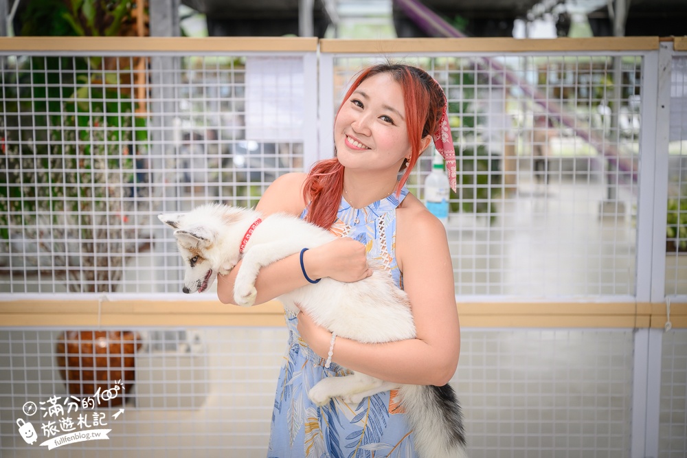 宜蘭【遛遛三星】全台唯一白狐狸主題農場,與白狐狸＆赤狐互動.還能玩鹿角蕨手作.當小小農夫和爬蟲偵查員,太好玩啦!