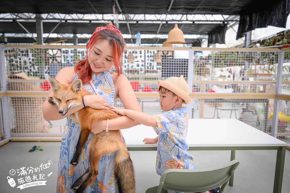 宜蘭【遛遛三星】全台唯一白狐狸主題農場,與白狐狸＆赤狐互動.還能玩鹿角蕨手作.當小小農夫和爬蟲偵查員,太好玩啦!