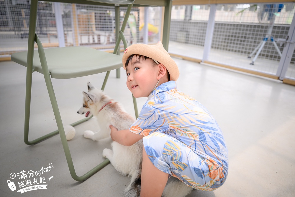 宜蘭【遛遛三星】全台唯一白狐狸主題農場,與白狐狸＆赤狐互動.還能玩鹿角蕨手作.當小小農夫和爬蟲偵查員,太好玩啦!