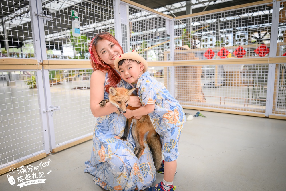 宜蘭【遛遛三星】全台唯一白狐狸主題農場,與白狐狸＆赤狐互動.還能玩鹿角蕨手作.當小小農夫和爬蟲偵查員,太好玩啦!