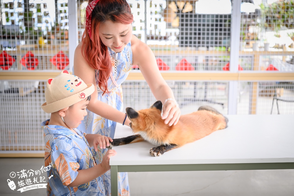 宜蘭【遛遛三星】全台唯一白狐狸主題農場,與白狐狸＆赤狐互動.還能玩鹿角蕨手作.當小小農夫和爬蟲偵查員,太好玩啦!