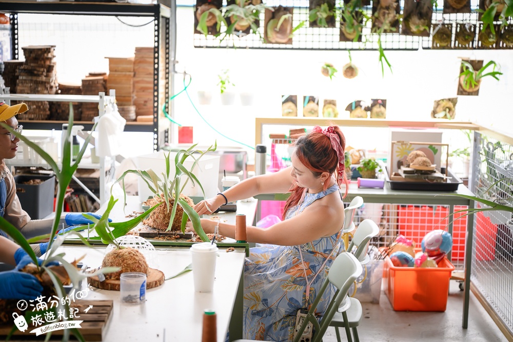 宜蘭【遛遛三星】全台唯一白狐狸主題農場,與白狐狸＆赤狐互動.還能玩鹿角蕨手作.當小小農夫和爬蟲偵查員,太好玩啦!