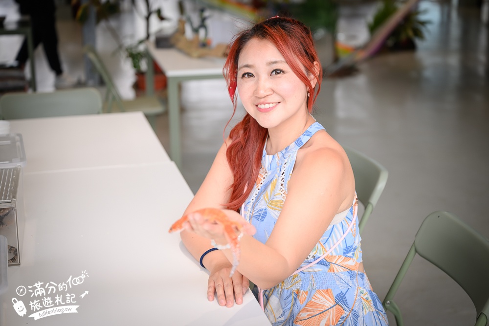 宜蘭【遛遛三星】全台唯一白狐狸主題農場,與白狐狸＆赤狐互動.還能玩鹿角蕨手作.當小小農夫和爬蟲偵查員,太好玩啦!