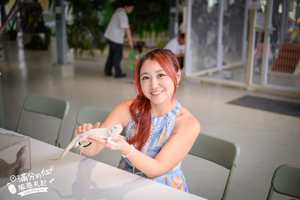 宜蘭【遛遛三星】全台唯一白狐狸主題農場,與白狐狸＆赤狐互動.還能玩鹿角蕨手作.當小小農夫和爬蟲偵查員,太好玩啦!