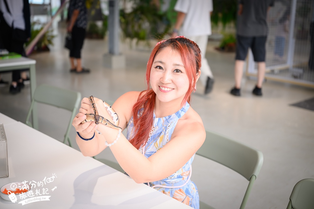 宜蘭【遛遛三星】全台唯一白狐狸主題農場,與白狐狸＆赤狐互動.還能玩鹿角蕨手作.當小小農夫和爬蟲偵查員,太好玩啦!