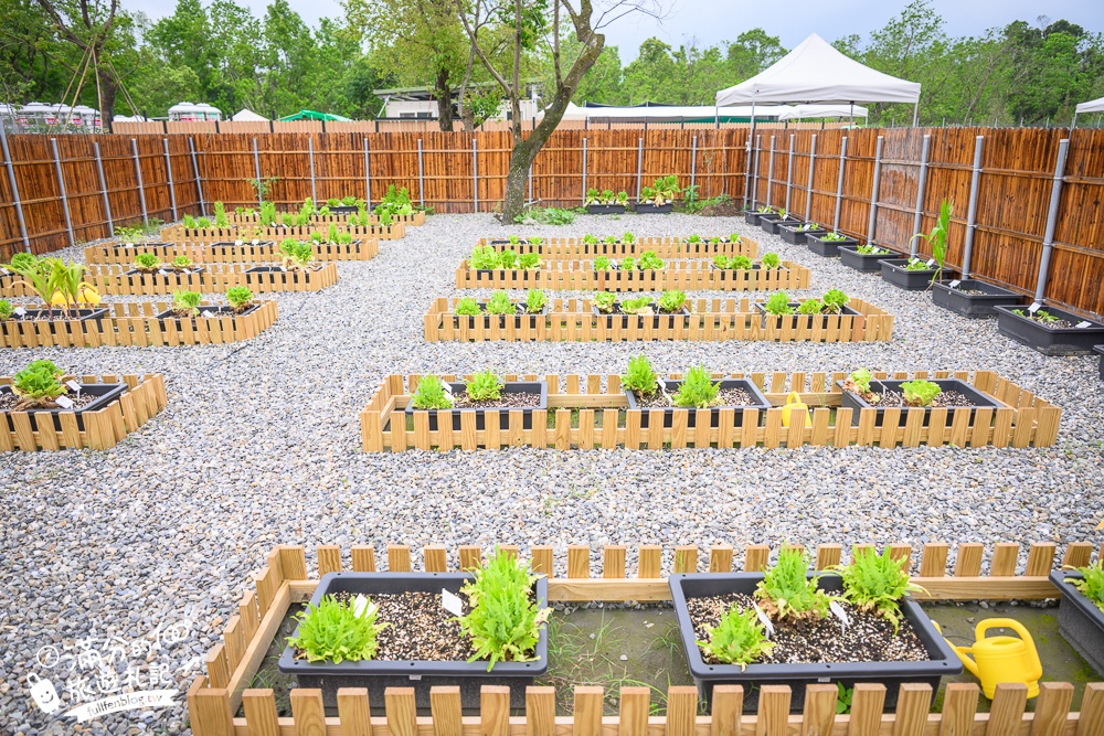 宜蘭【遛遛三星】全台唯一白狐狸主題農場,與白狐狸＆赤狐互動.還能玩鹿角蕨手作.當小小農夫和爬蟲偵查員,太好玩啦!