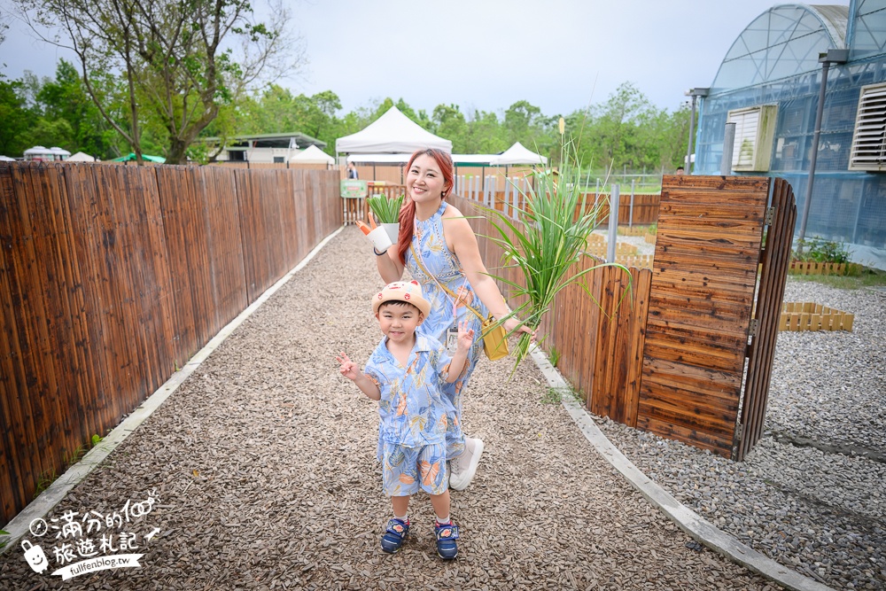 宜蘭【遛遛三星】全台唯一白狐狸主題農場,與白狐狸＆赤狐互動.還能玩鹿角蕨手作.當小小農夫和爬蟲偵查員,太好玩啦!