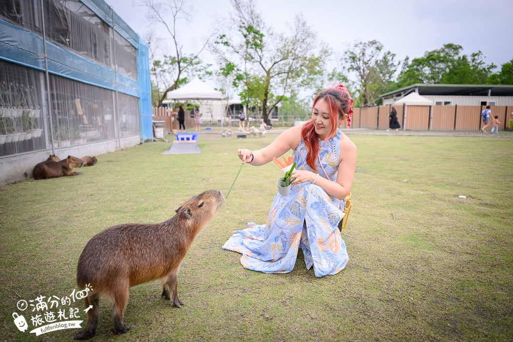 宜蘭【遛遛三星】全台唯一白狐狸主題農場,與白狐狸＆赤狐互動.還能玩鹿角蕨手作.當小小農夫和爬蟲偵查員,太好玩啦!