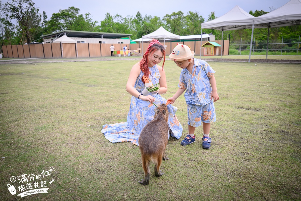 宜蘭【遛遛三星】全台唯一白狐狸主題農場,與白狐狸＆赤狐互動.還能玩鹿角蕨手作.當小小農夫和爬蟲偵查員,太好玩啦!