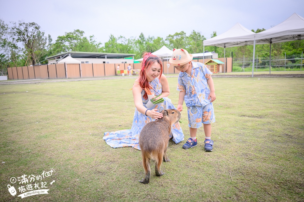 宜蘭【遛遛三星】全台唯一白狐狸主題農場,與白狐狸＆赤狐互動.還能玩鹿角蕨手作.當小小農夫和爬蟲偵查員,太好玩啦!