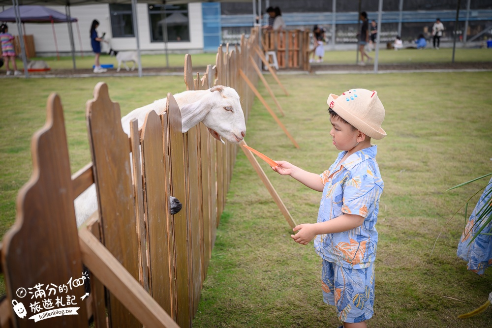 宜蘭【遛遛三星】全台唯一白狐狸主題農場,與白狐狸＆赤狐互動.還能玩鹿角蕨手作.當小小農夫和爬蟲偵查員,太好玩啦!
