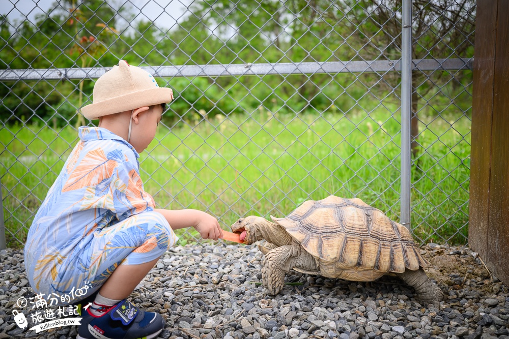 宜蘭【遛遛三星】全台唯一白狐狸主題農場,與白狐狸＆赤狐互動.還能玩鹿角蕨手作.當小小農夫和爬蟲偵查員,太好玩啦!