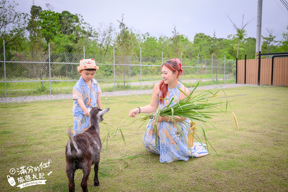 宜蘭【遛遛三星】全台唯一白狐狸主題農場,與白狐狸＆赤狐互動.還能玩鹿角蕨手作.當小小農夫和爬蟲偵查員,太好玩啦!