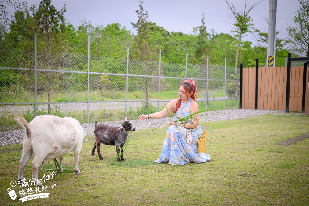 宜蘭【遛遛三星】全台唯一白狐狸主題農場,與白狐狸＆赤狐互動.還能玩鹿角蕨手作.當小小農夫和爬蟲偵查員,太好玩啦!
