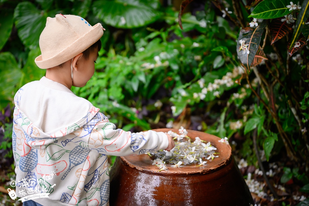 苗栗【雙峰草堂】隱身山林間的銅鑼燒玻璃茶屋.職人手作銅鑼燒,還能欣賞油桐花!