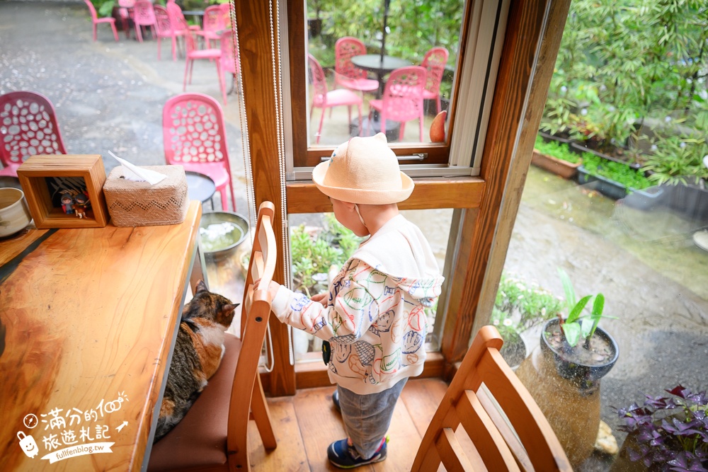 苗栗【雙峰草堂】隱身山林間的銅鑼燒玻璃茶屋.職人手作銅鑼燒,還能欣賞油桐花!