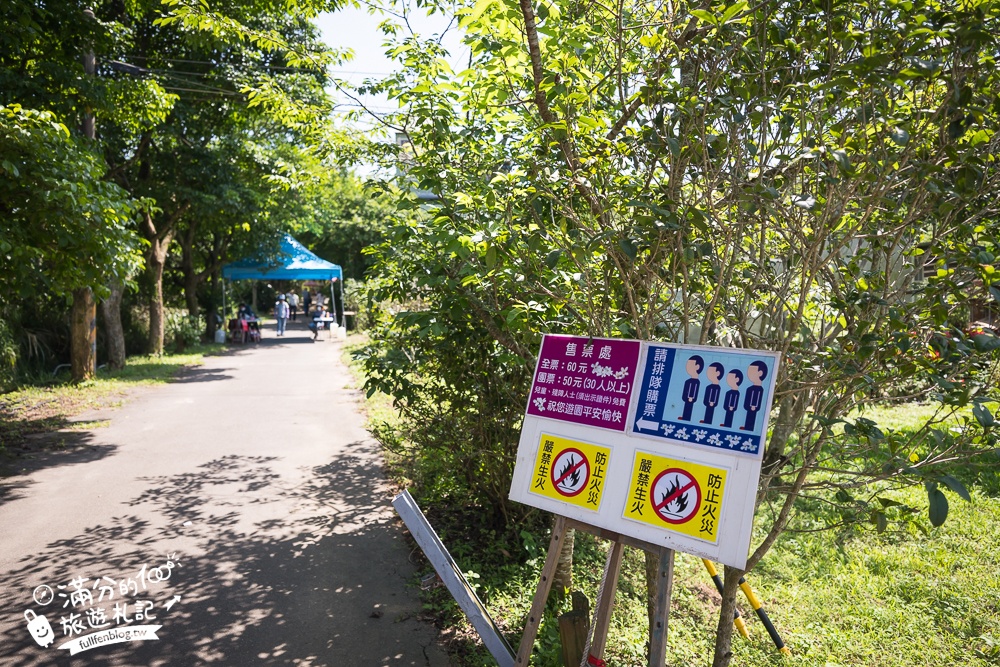 【桃園甘家堡桐花步道】私人桐花莊園開放,不用爬山也能看滿片四月雪,遼闊大草原.親子野餐首選！