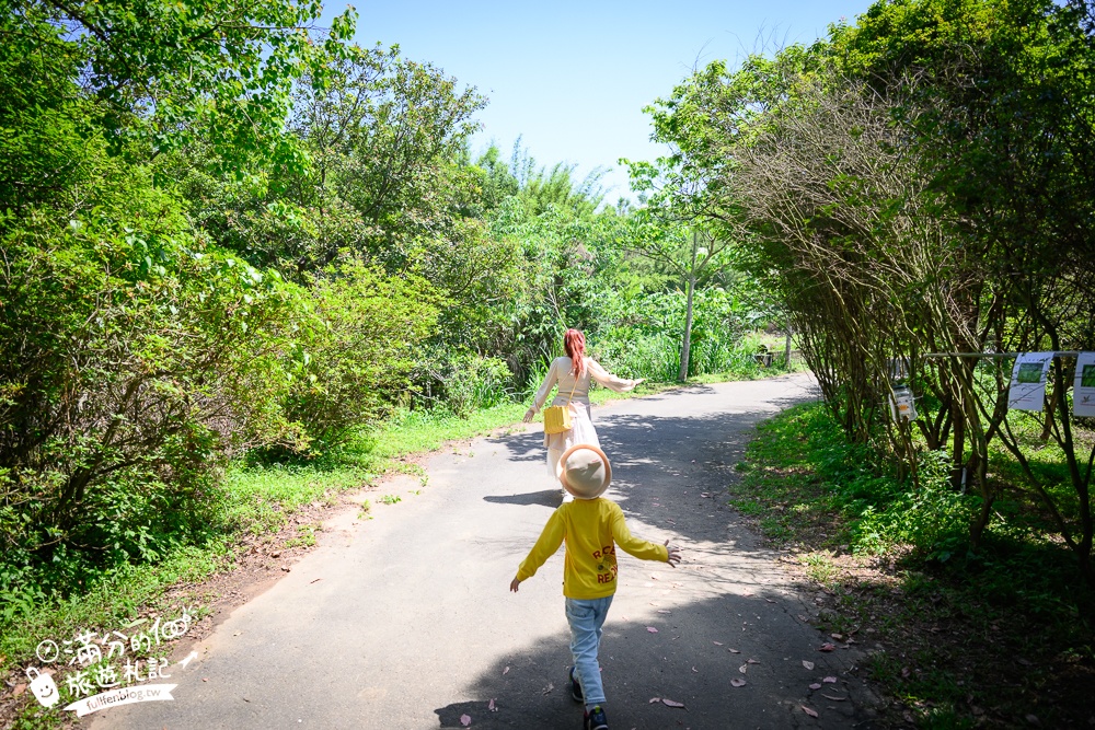 【桃園甘家堡桐花步道】私人桐花莊園開放,不用爬山也能看滿片四月雪,遼闊大草原.親子野餐首選！