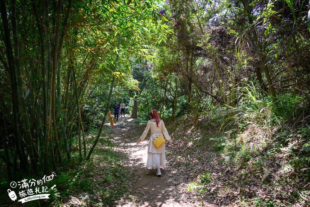 【桃園甘家堡桐花步道】私人桐花莊園開放,不用爬山也能看滿片四月雪,遼闊大草原.親子野餐首選！