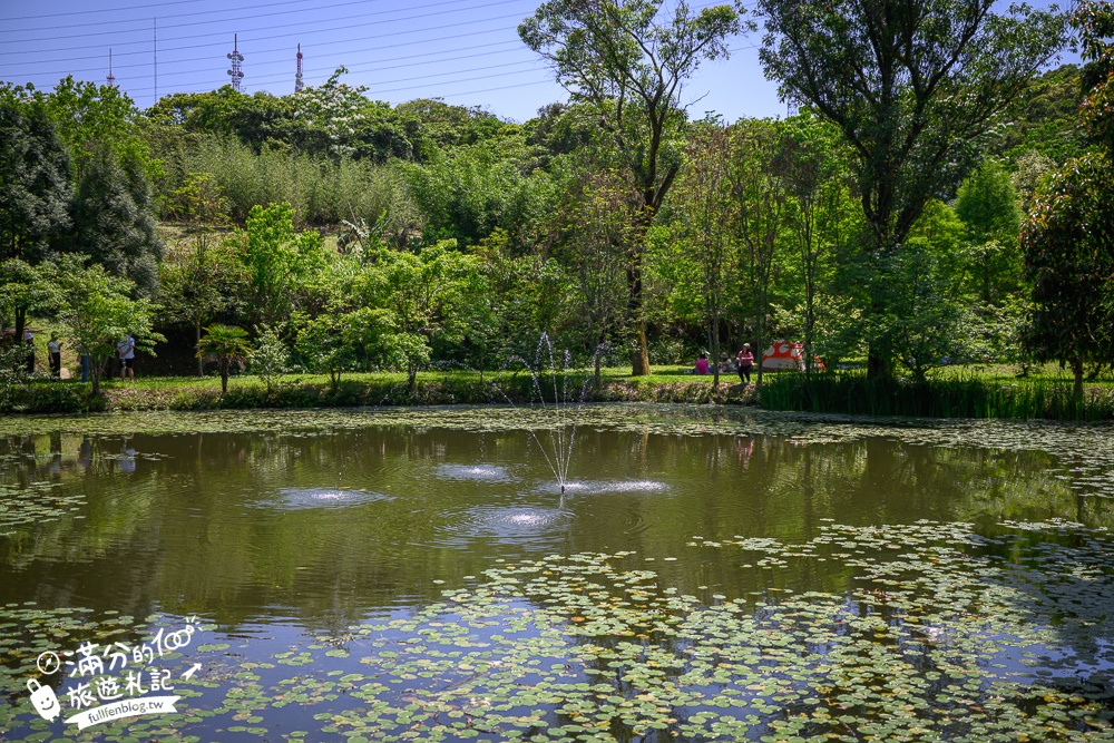 【桃園甘家堡桐花步道】私人桐花莊園開放,不用爬山也能看滿片四月雪,遼闊大草原.親子野餐首選！