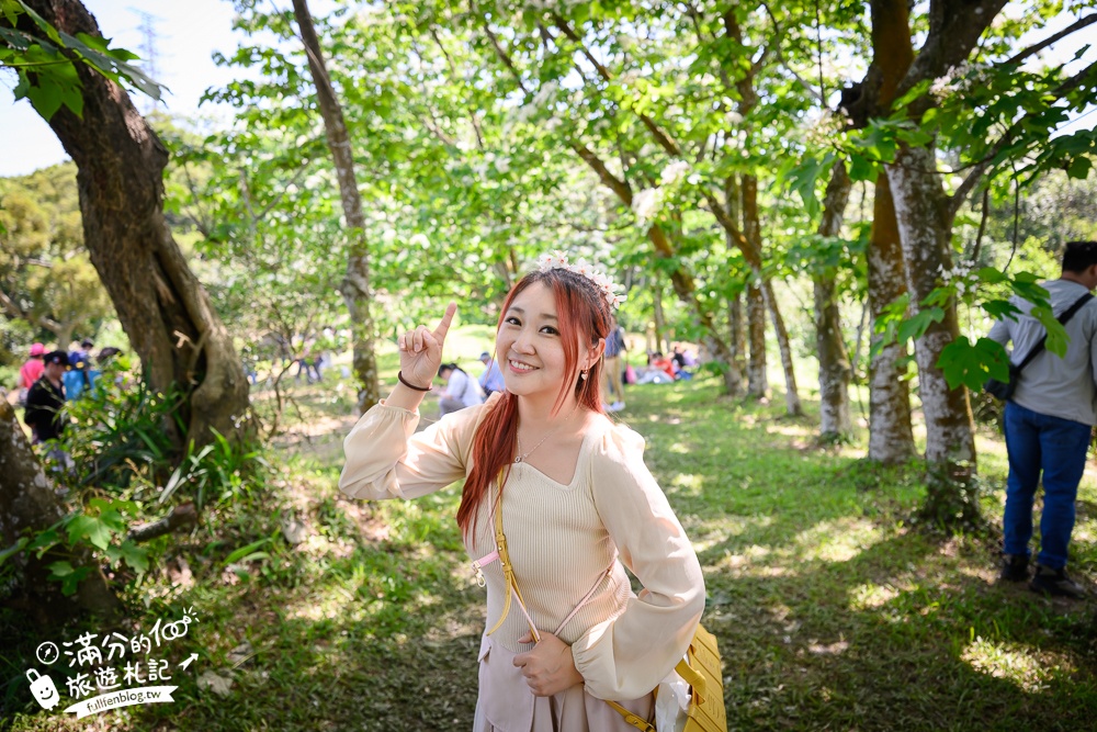 【桃園甘家堡桐花步道】私人桐花莊園開放,不用爬山也能看滿片四月雪,遼闊大草原.親子野餐首選！