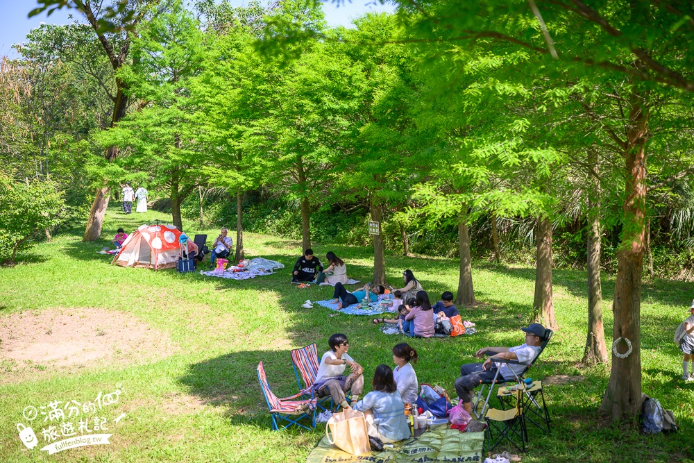 【桃園甘家堡桐花步道】私人桐花莊園開放,不用爬山也能看滿片四月雪,遼闊大草原.親子野餐首選！