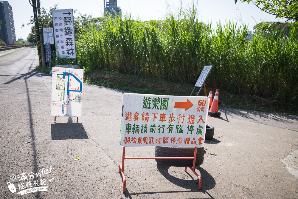 桃園【野趣森林】全台最強不插電迪士尼！400種無動力設施.水陸空一票玩到底只要250元