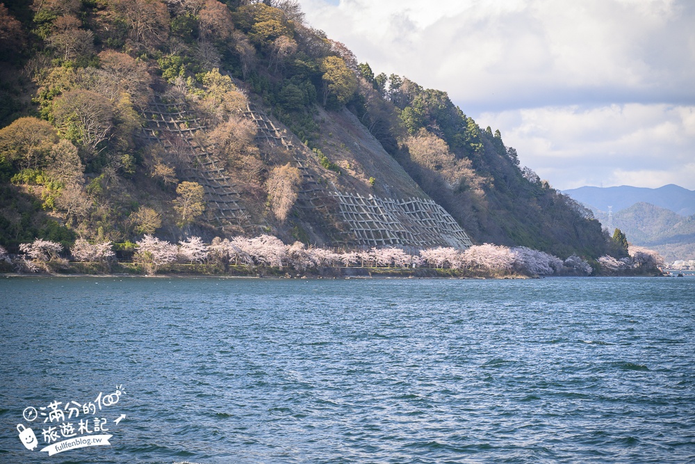 【2026海津大崎櫻花季】日本櫻花名勝100選,滋賀琵琶湖綿延四公里的湖岸櫻花,搭郵輪賞櫻花超特別!