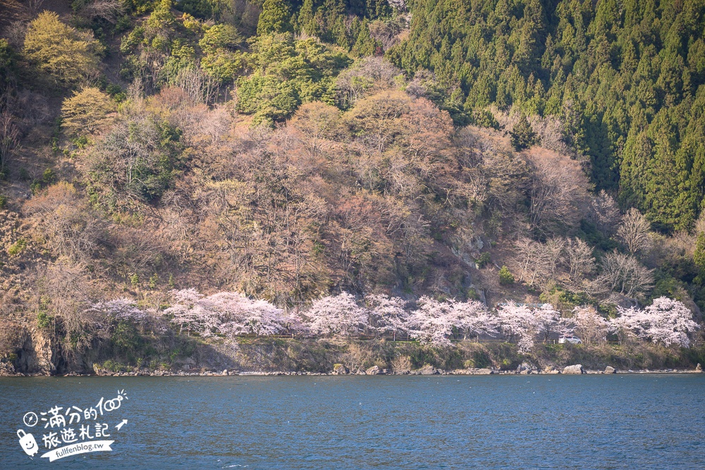 【2026海津大崎櫻花季】日本櫻花名勝100選,滋賀琵琶湖綿延四公里的湖岸櫻花,搭郵輪賞櫻花超特別!