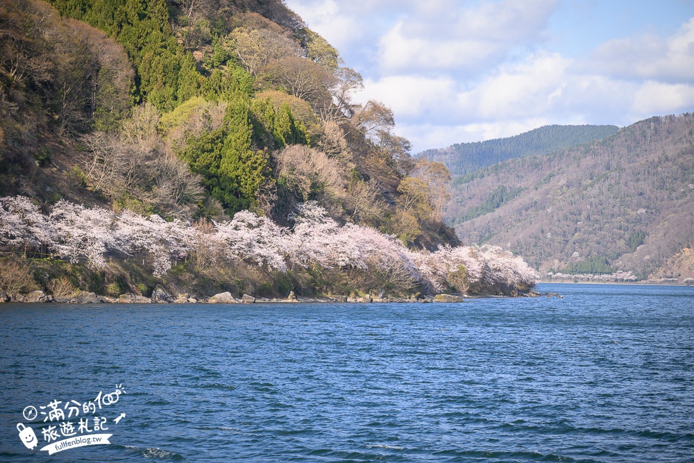 【2026海津大崎櫻花季】日本櫻花名勝100選,滋賀琵琶湖綿延四公里的湖岸櫻花,搭郵輪賞櫻花超特別!