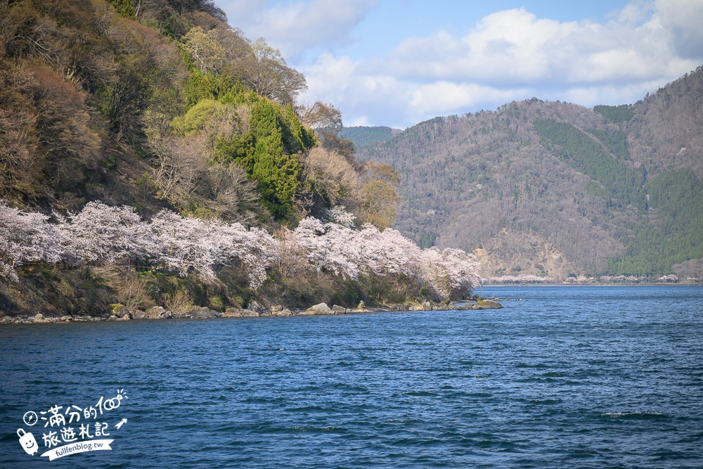 【2026海津大崎櫻花季】日本櫻花名勝100選,滋賀琵琶湖綿延四公里的湖岸櫻花,搭郵輪賞櫻花超特別!