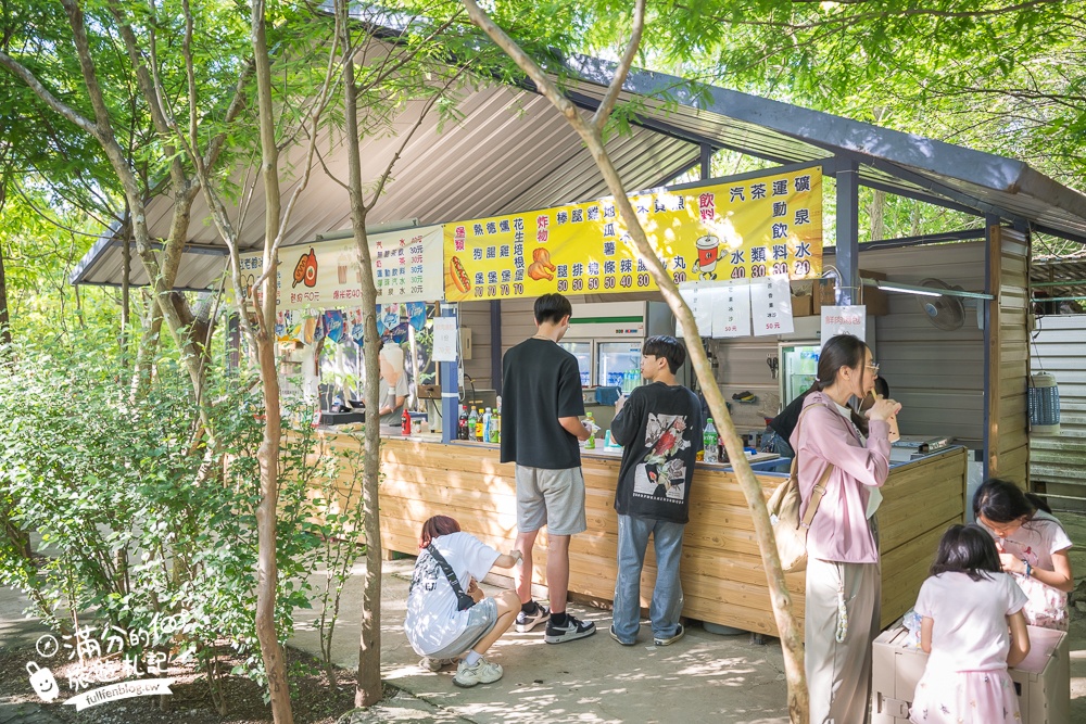 桃園【野趣森林】全台最強不插電迪士尼！400種無動力設施.水陸空一票玩到底只要250元