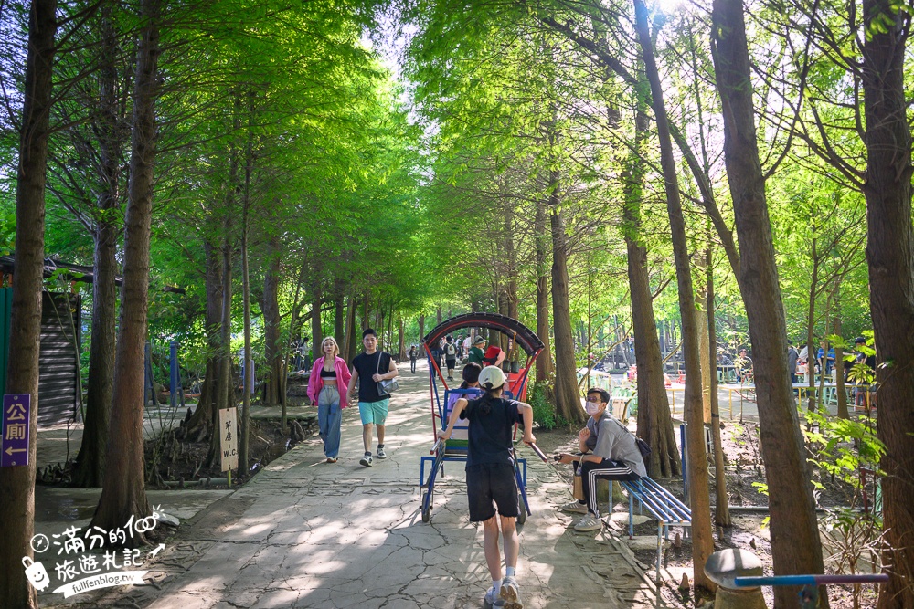 桃園【野趣森林】全台最強不插電迪士尼！400種無動力設施.水陸空一票玩到底只要250元