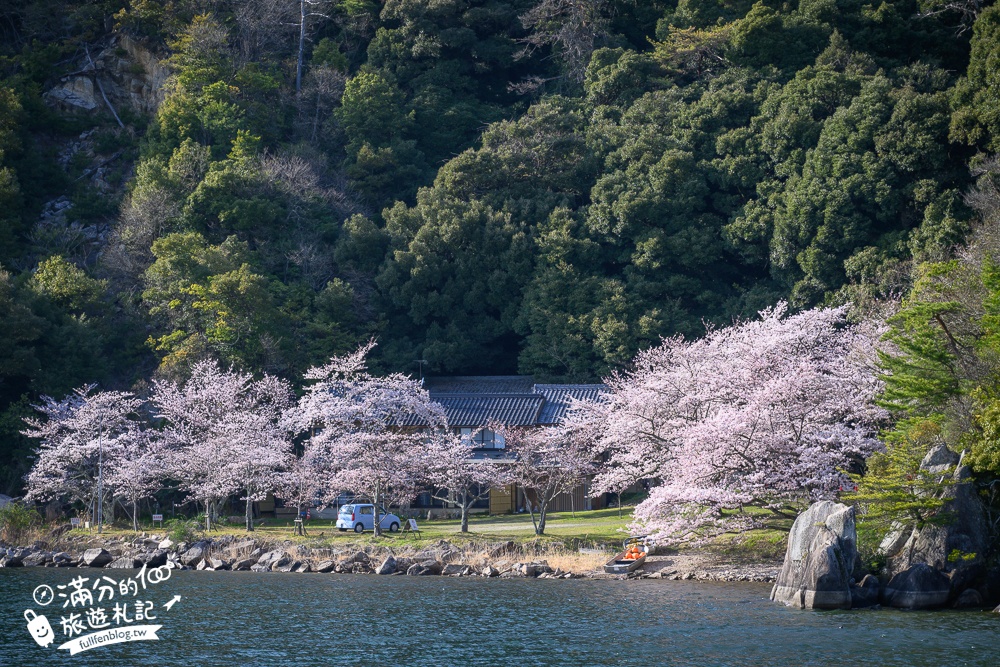 【2026海津大崎櫻花季】日本櫻花名勝100選,滋賀琵琶湖綿延四公里的湖岸櫻花,搭郵輪賞櫻花超特別!