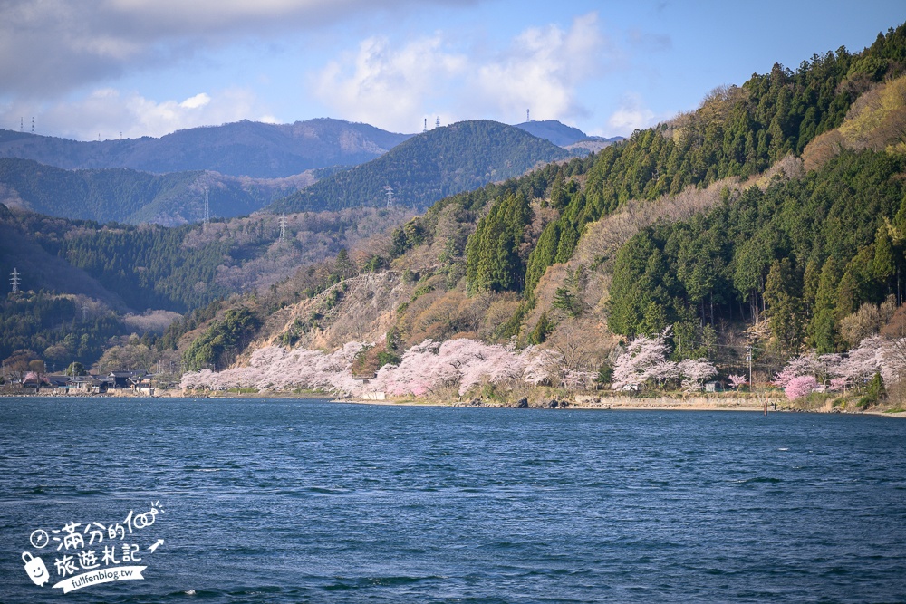 【2026海津大崎櫻花季】日本櫻花名勝100選,滋賀琵琶湖綿延四公里的湖岸櫻花,搭郵輪賞櫻花超特別!