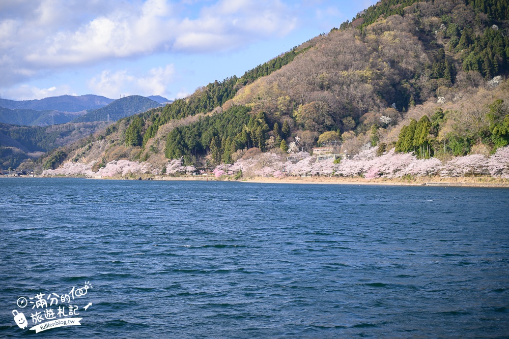 【2026海津大崎櫻花季】日本櫻花名勝100選,滋賀琵琶湖綿延四公里的湖岸櫻花,搭郵輪賞櫻花超特別!