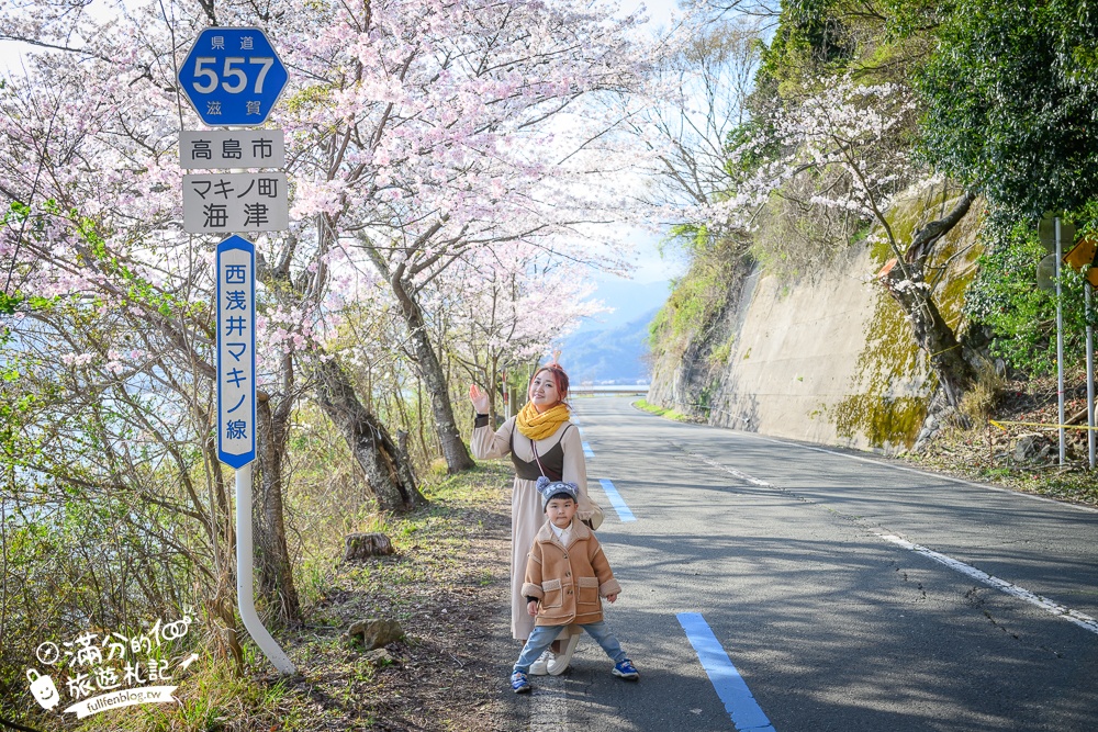 【2026海津大崎櫻花季】日本櫻花名勝100選,滋賀琵琶湖綿延四公里的湖岸櫻花,搭郵輪賞櫻花超特別!