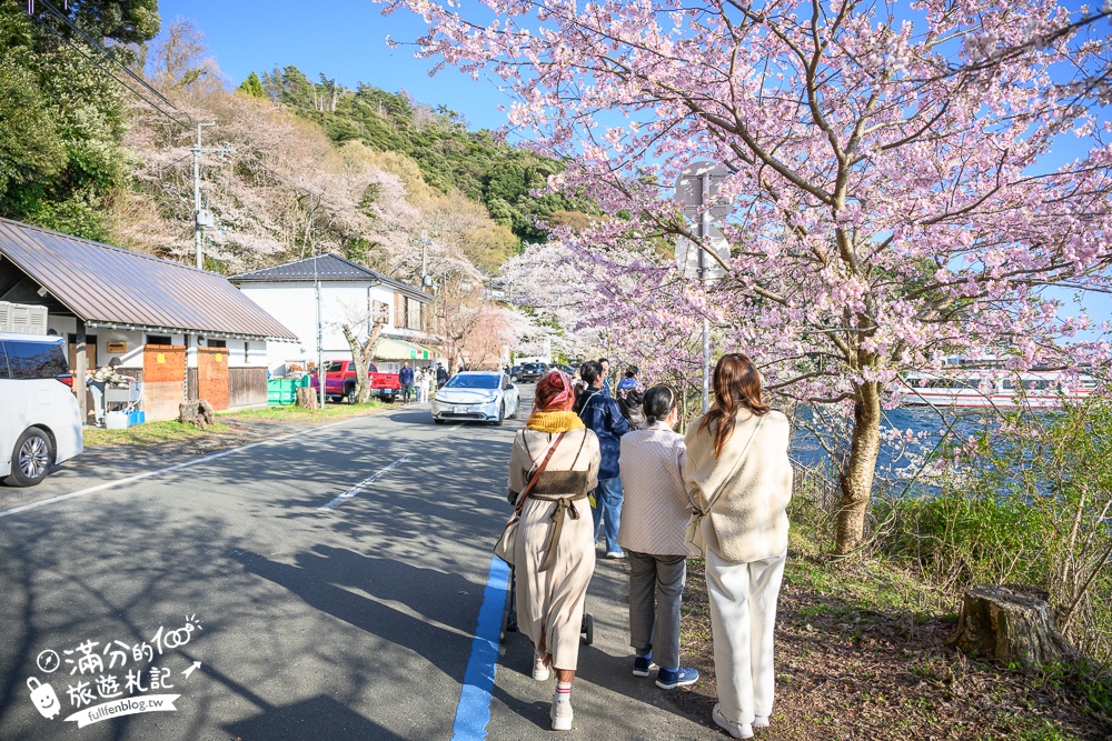 【2026海津大崎櫻花季】日本櫻花名勝100選,滋賀琵琶湖綿延四公里的湖岸櫻花,搭郵輪賞櫻花超特別!