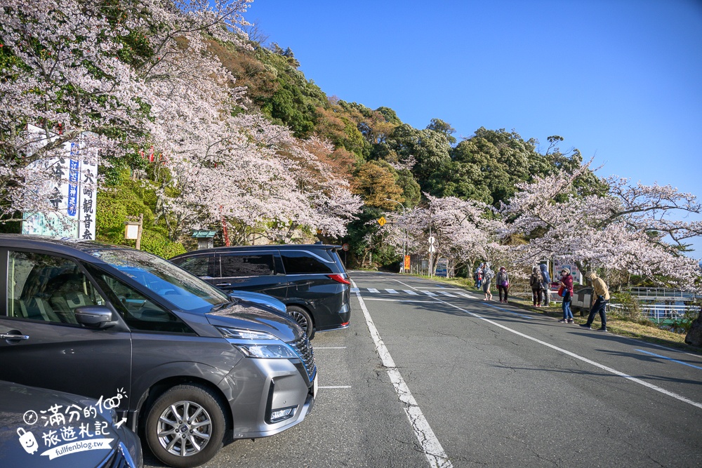 【2026海津大崎櫻花季】日本櫻花名勝100選,滋賀琵琶湖綿延四公里的湖岸櫻花,搭郵輪賞櫻花超特別!