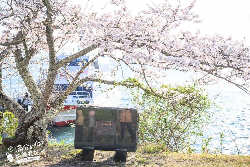 【2026海津大崎櫻花季】日本櫻花名勝100選,滋賀琵琶湖綿延四公里的湖岸櫻花,搭郵輪賞櫻花超特別!