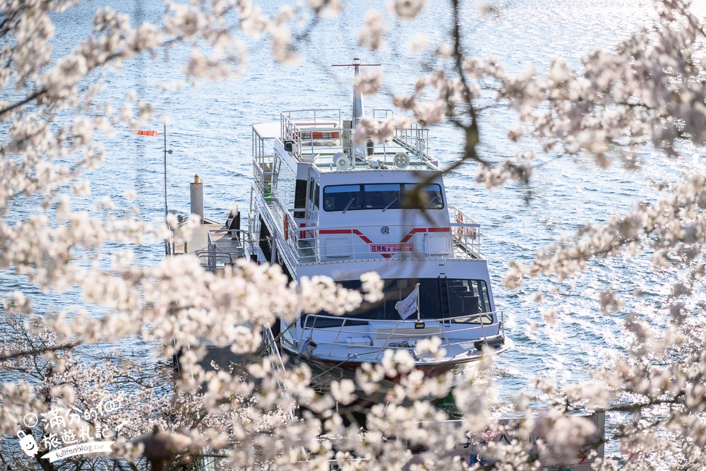 【2026海津大崎櫻花季】日本櫻花名勝100選,滋賀琵琶湖綿延四公里的湖岸櫻花,搭郵輪賞櫻花超特別!
