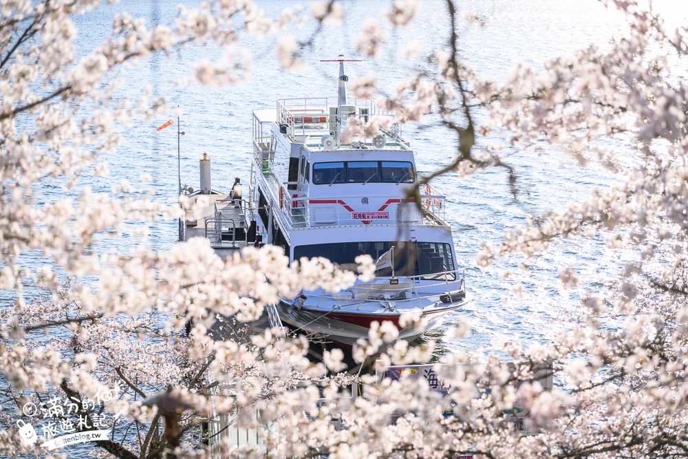 【2026海津大崎櫻花季】日本櫻花名勝100選,滋賀琵琶湖綿延四公里的湖岸櫻花,搭郵輪賞櫻花超特別!