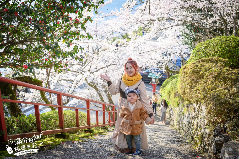 【2026海津大崎櫻花季】日本櫻花名勝100選,滋賀琵琶湖綿延四公里的湖岸櫻花,搭郵輪賞櫻花超特別!