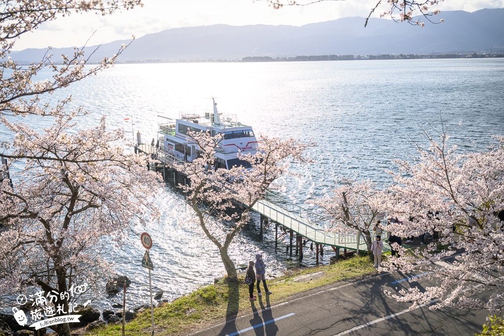 【2026海津大崎櫻花季】日本櫻花名勝100選,滋賀琵琶湖綿延四公里的湖岸櫻花,搭郵輪賞櫻花超特別!