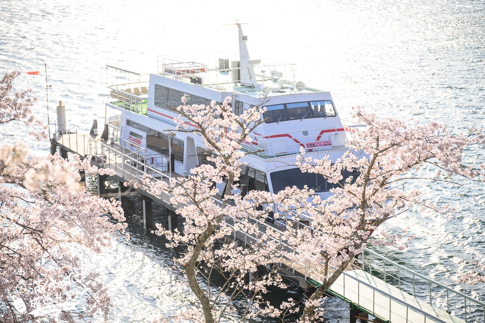 【2026海津大崎櫻花季】日本櫻花名勝100選,滋賀琵琶湖綿延四公里的湖岸櫻花,搭郵輪賞櫻花超特別!